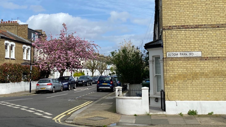Street sign of Bloom Park Road in Fulham, London, with pink blossoming tree next to it